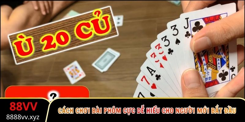 Cách Chơi Bài Phỏm Cực Dễ Hiểu Cho Người Mới Bắt Đầu